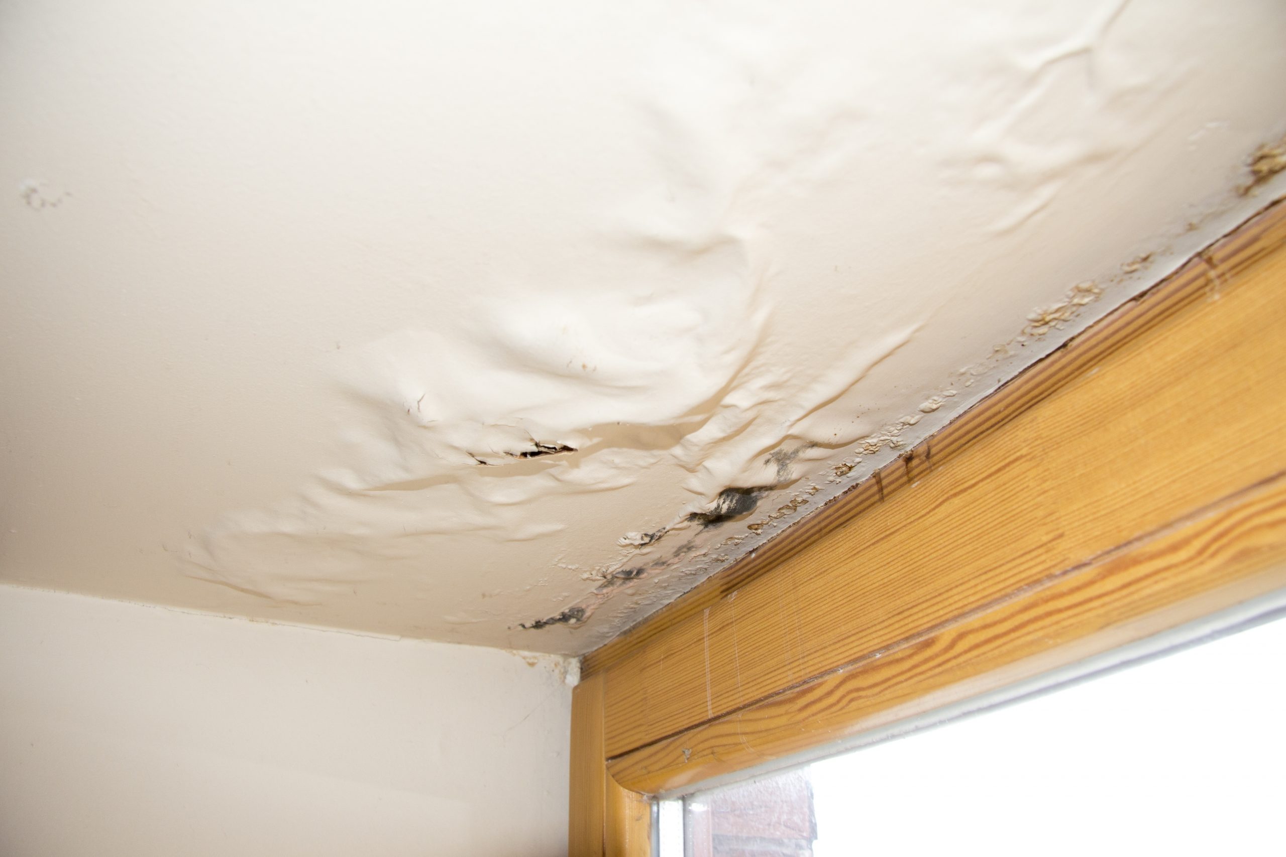 The Essentials of Water Damage Repair in Kelowna, BC