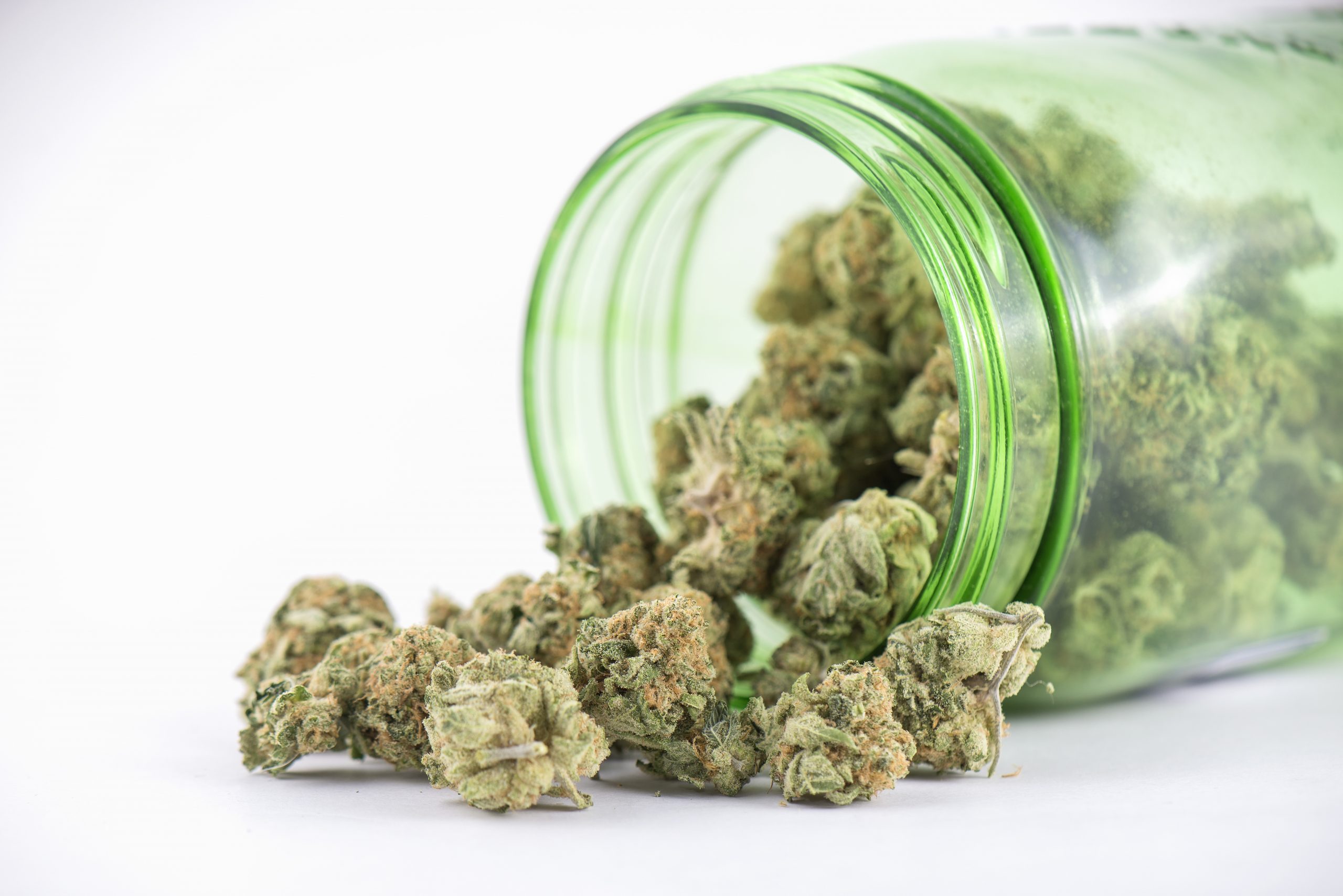 What to Know About the Best Dispensary in Los Angeles