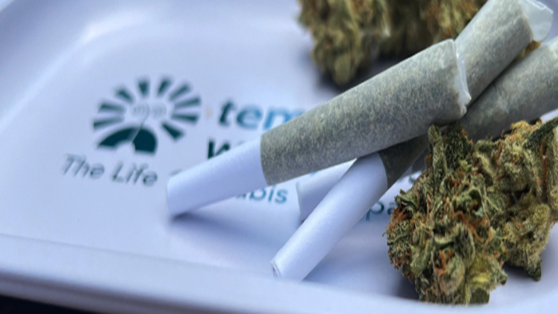 How to Find the Right Recreational Dispensary in Massachusetts