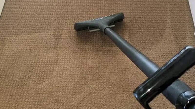 For Expert Carpet Cleaning in Golden, CO, Always Choose the Pros