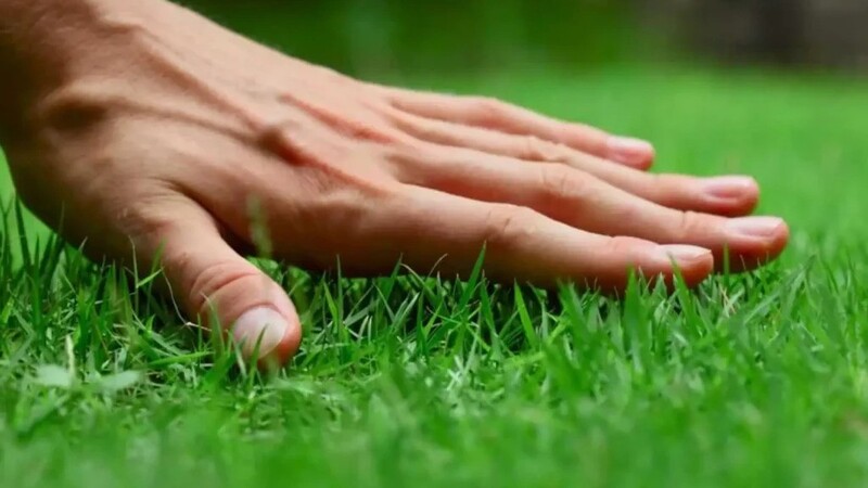 Hiring Lawn Care Companies in Clarksville, IN