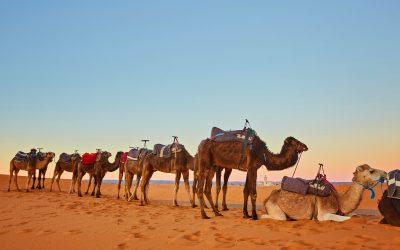 3-day Desert Marrakech to Chegaga Dunes—a Journey Through Time and Sand