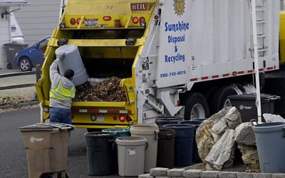 A Crestwood Junk Removal Service Allows Households to End Bug Invasions