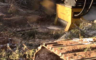 Top Applications for an Excavator Mulcher Attachment