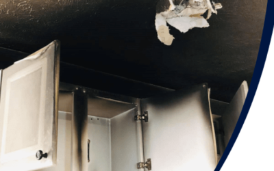 How Mold Remediation in Fort Collins, CO Works