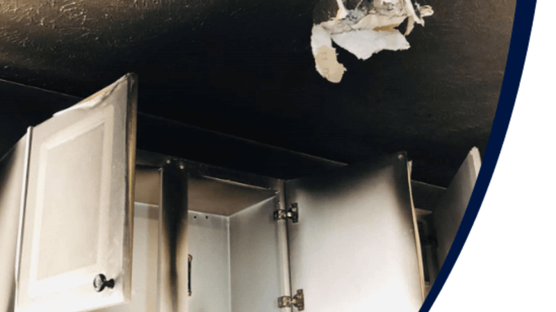 How Mold Remediation in Fort Collins, CO Works