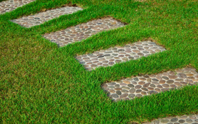 Expert Lawn Maintenance Services in Walla Walla, WA: Keeping Your Lawn Pristine