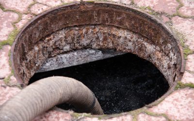 Septic Tank Service Myths Debunked: What You Need to Know