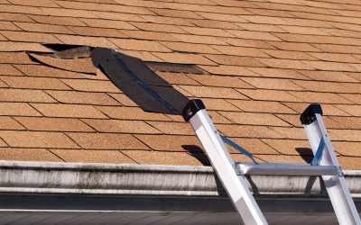 The Ultimate Guide To Roof Maintenance And Choosing a Roofing Company in Savannah, GA